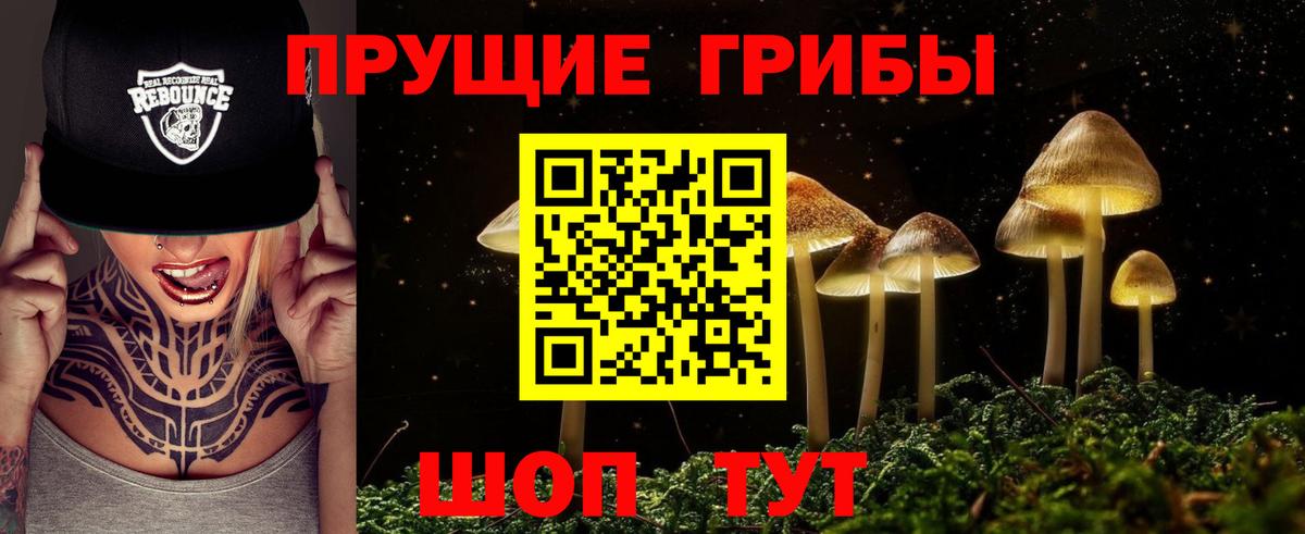 Галлюциногенные грибы прущие грибы Киселёвск