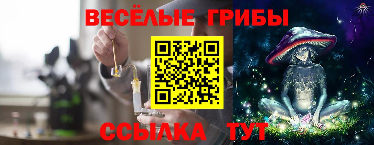 Псилоцибиновые грибы прущие грибы  Вход с VPN  Киселёвск 